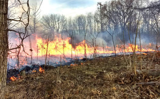 flames from head burn