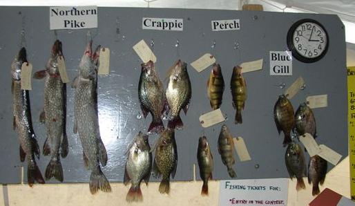 winning fish board 2006