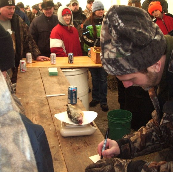 Weighing Perch