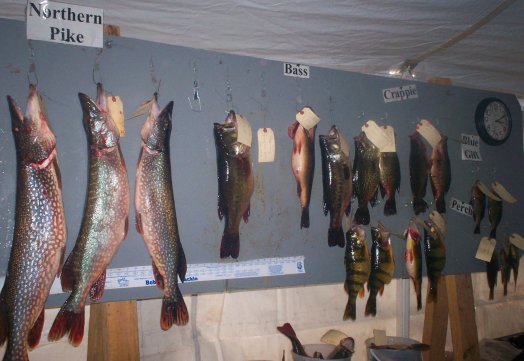 Winning Fish Board 2008