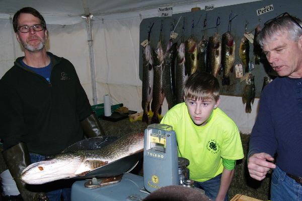 weighing fish