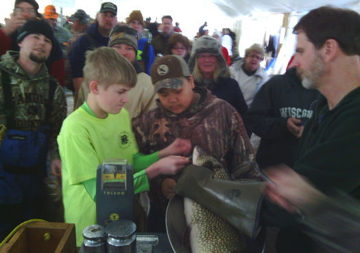 weighing fish.