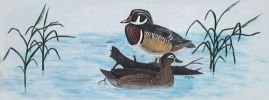 Wood Ducks by Bill Balmer